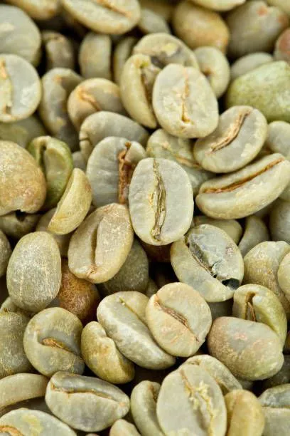 تحلیل بازار و روند جهانی دانه سبز قهوه