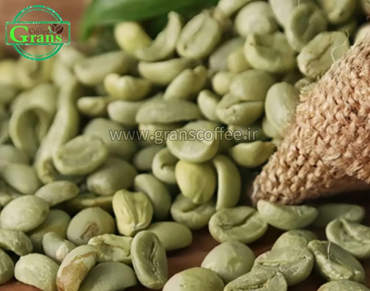 بررسی جامع دانه سبز قهوه روبوستا چری هند AA: مشخصات فنی، بازار، و جایگاه در صنعت قهوه
