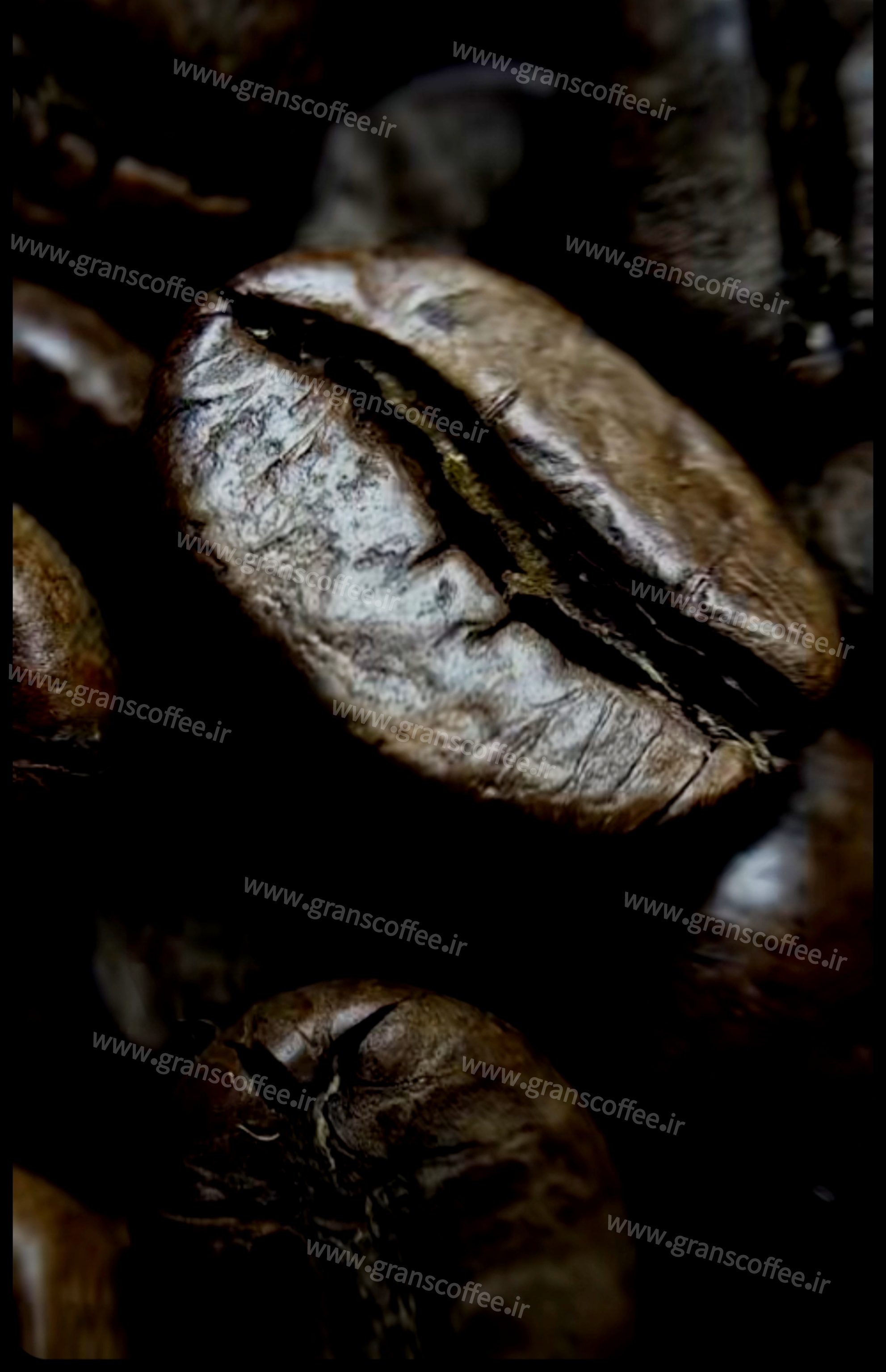 دانه قهوه دارک و مقایسه آن با دانه قهوه میدیوم، لایت، شکلاتی و دانه قهوه سبز