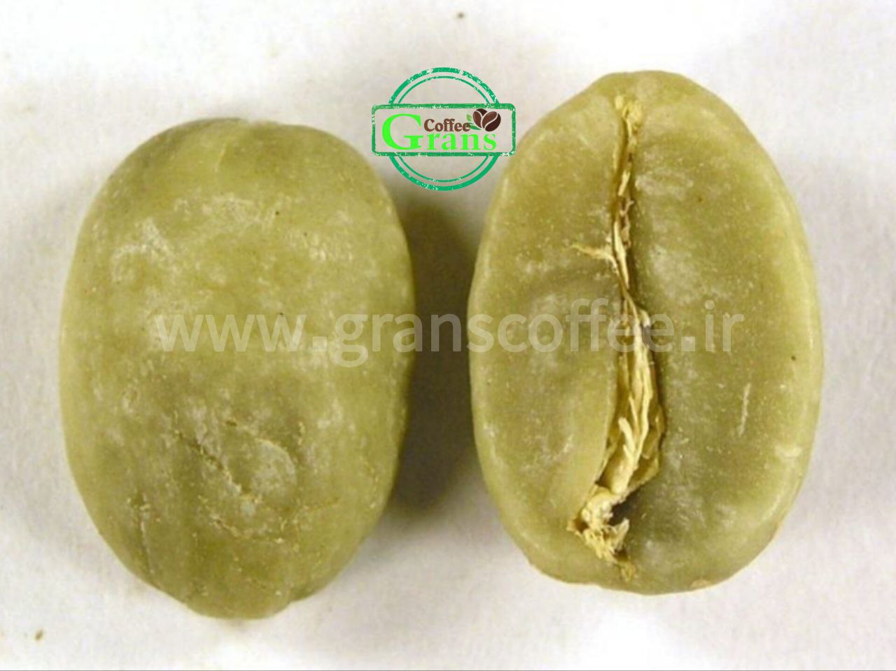 راهنمای جامع خرید دان سبز قهوه: از شناخت تا خرید مطمئن