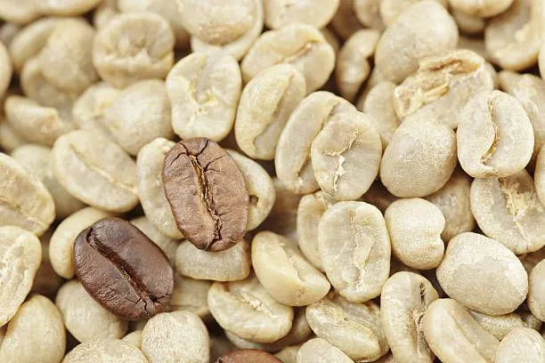 چرا «فروش عمده قهوه سبز در تهران» را با گرنس تجربه کنیم؟ تحلیل بازار و مزیت رقابتی ما