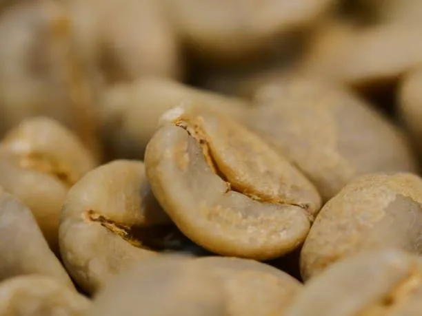 نقش دانه سبز قهوه در کیفیت نهایی در میکس 70/30